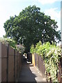 Footpath between Hillcrest View and Upper Elmers End Road, BR3 (2)