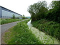 ST5379 : Drainage ditch alongside Lawrence Weston Road by Anthony O'Neil