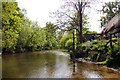 The River Thame at Drayton St Leonard