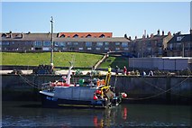 NU2232 : Standsure (UL-552) at Seahouses Harbour by Phil Champion