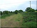 Old Railway Track, Sturminster Marshall