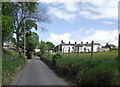 Looking up Hob Lane