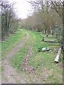 Path, Camberwell Old Cemetery