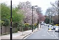 Court Lane, Dulwich