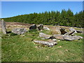 NH5364 : Chambered cairn at Balnacrae by Geoff Potter