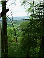 View of Graffham and the Weald from Graffham Down