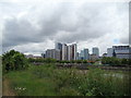 View of riverside flats and Canary Wharf from the Bow Creek Ecology Park path 