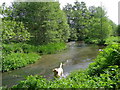 Fonthill Stream, Tisbury