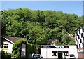 Wood above Teignmouth Road, Torquay