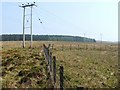 NS3580 : Moorland fence by Lairich Rig