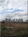 View of Canary Wharf from the Bow Creek Ecology Park path