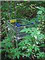 Tesco trolley