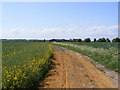 Footpath to Moat Hall Farm