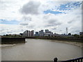 View of Canary Wharf from the Bow Creek Ecology Park path #3