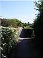 Footpath to Fore Street