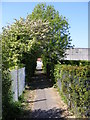 Footpath to Fore Street