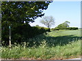 Footpath to Oakendale Farm