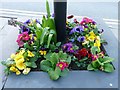 Floral Display, Porthmadog, Gwynedd