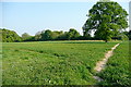 Footpath from Hampden House