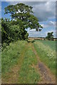 SP0753 : Track to Dunnington Court by Philip Halling