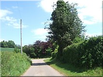 SY0686 : Road passing Blackberry Farm by David Smith