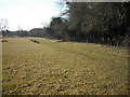 View of footpath adjacent to Beachborough School