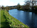 Eastern bank of the Cree in Newton Stewart