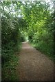 Bridleway Beside Tiptree Parish Field