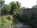 The Quaggy River, Manor Park (10)