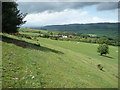 On the footpath down to Village Farm