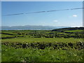 Farmland on Anglesey