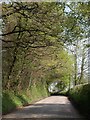 Road east of High Gate