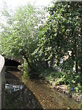 TQ3975 : The Quaggy River east of Lee Road, SE3 (2) by Mike Quinn