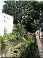 The Quaggy River east of Lee Road, SE3 (3)