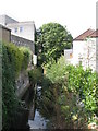 The Quaggy River west of Meadowcourt Road, SE3