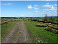 East along the bridleway above Hail Beck