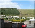 Edge of woodland, Blaenllechau