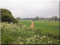 Footpath leaves road