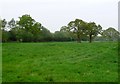 SP1273 : Countryside near Wychpitts Farm by Nigel Mykura