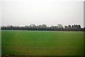 Farmland south of Sutton on Trent