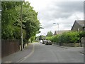 Cheltenham Road - looking up