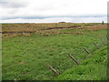 Restored opencast near Shotts