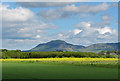 Farmland near Dalqueich