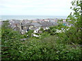 Some of the back gardens of Aberaeron