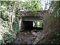 The Quaggy River west of Weigall Road, SE12 (2)