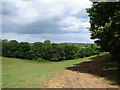 Mill Meadows local nature reserve