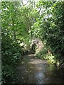 The Quaggy River west of Weigall Road, SE12 (5)