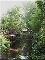 The Quaggy River west of Weigall Road, SE12 (9)