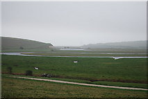 TV5199 : Seven Sisters Country Park - Cuckmere river valley by N Chadwick