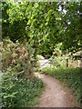 TM2446 : Footpath to Newbourne Road by Geographer